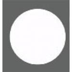 Hob Foster Modular Induzione D.300Mm  Wht